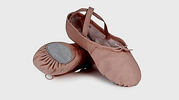 Adult Ballet Wear Adult Ballet Wear