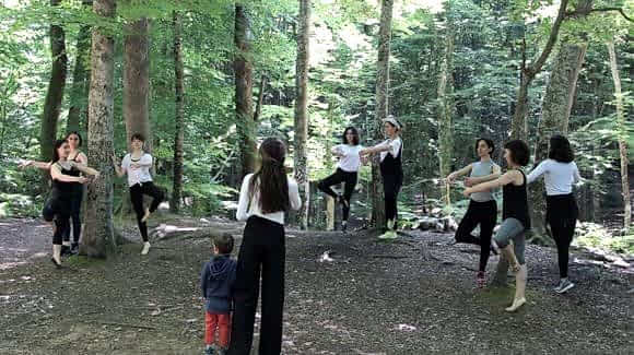 Belgrad Ormanı 2017