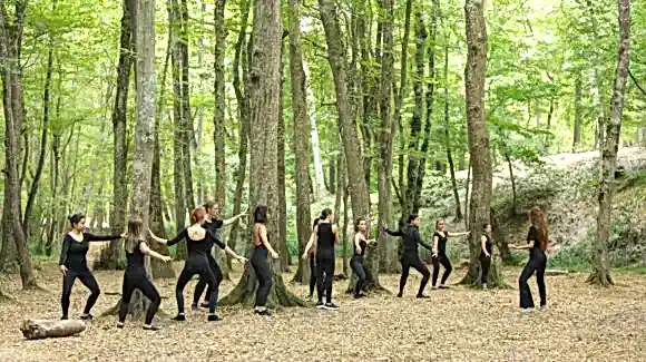 Belgrad Ormanı 2019