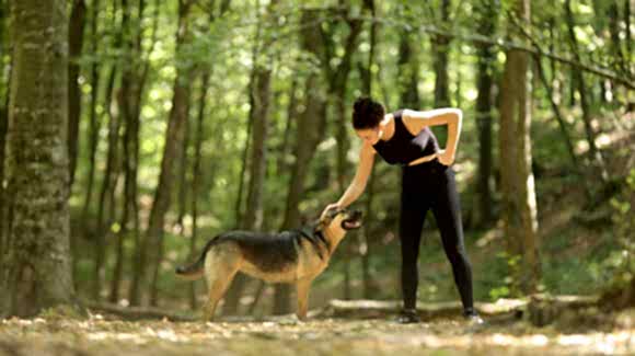 Belgrad Ormanı 2019