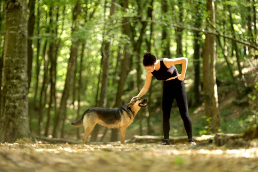 Belgrad Ormanı 2019