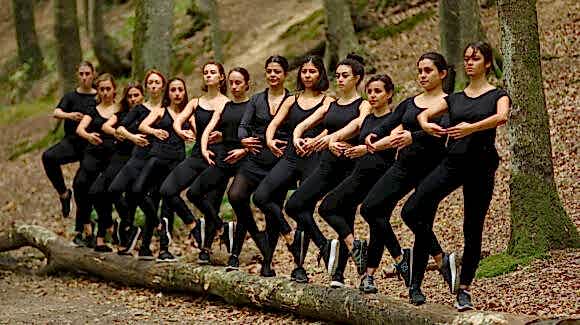 Belgrad Ormanı 2019