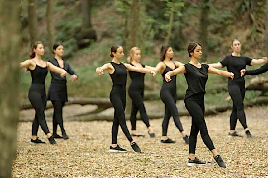 Belgrad Ormanı 2019