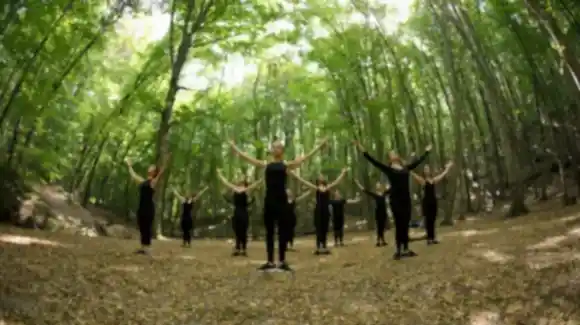 Belgrad Ormanı 2019