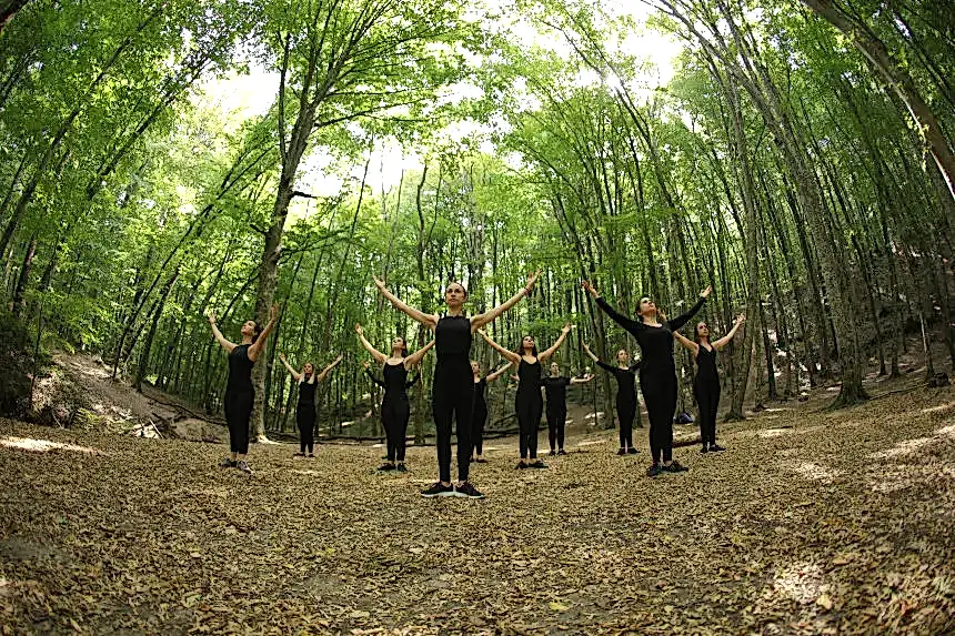 Belgrad Ormanı 2019