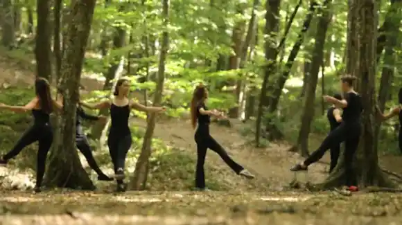 Belgrad Ormanı 2019