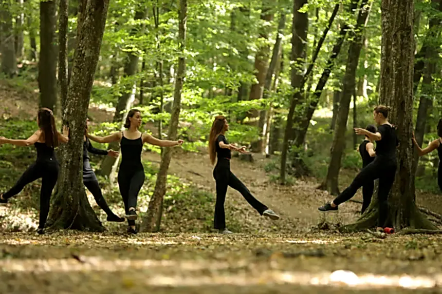 Belgrad Ormanı 2019