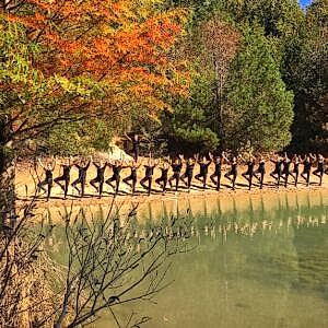 Atatürk Arboretumu 2019