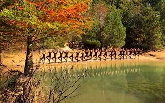 Atatürk Arboretumu 2019 Atatürk Arboretumu 2019