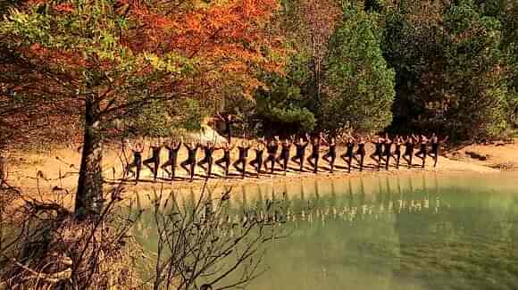 Atatürk Arboretumu 2019
