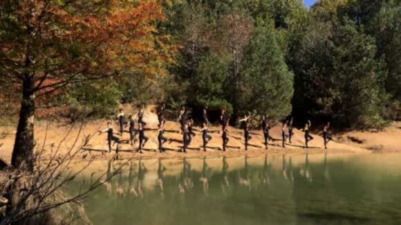 Atatürk Arboretumu 2019