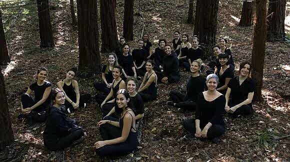 Atatürk Arboretumu 2019