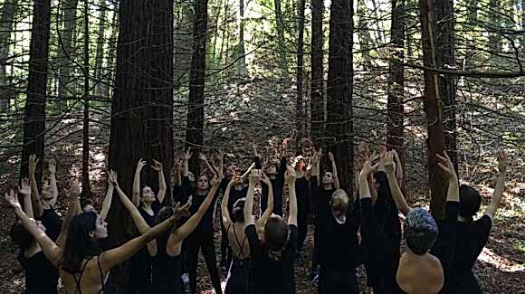 Atatürk Arboretumu 2019