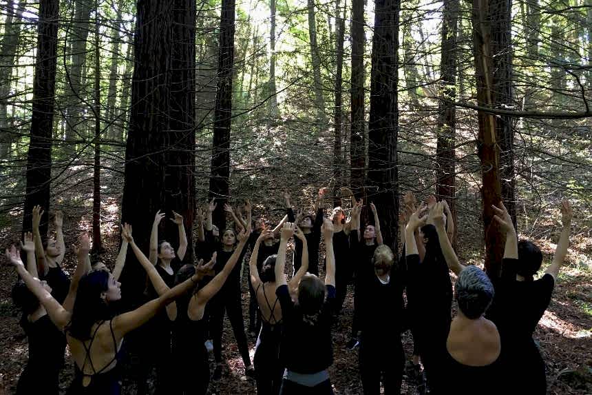 Atatürk Arboretumu 2019